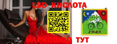 бошки Тара