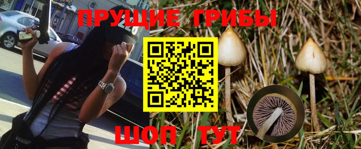 Мурманск  Псилоцибиновые грибы GOLDEN TEACHER  Вход с VPN 