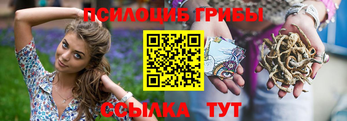 Галлюциногенные грибы мухоморы Мурманск